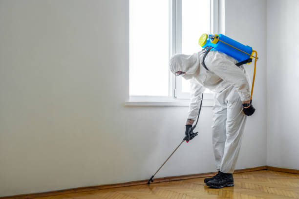 Emergency Pest Control Services in Marshall, TX